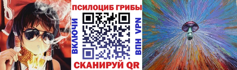 blacksprut ссылка  Кораблино  Псилоцибиновые грибы прущие грибы 
